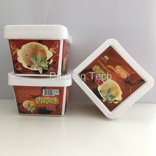 Ice Cream Box Rectangular Double Layered Ice Cream Box With - Temu